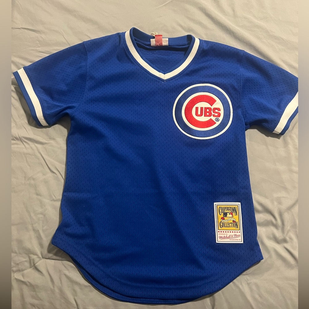 Retro Chicago Cubs Ryne Sandberg Jersey